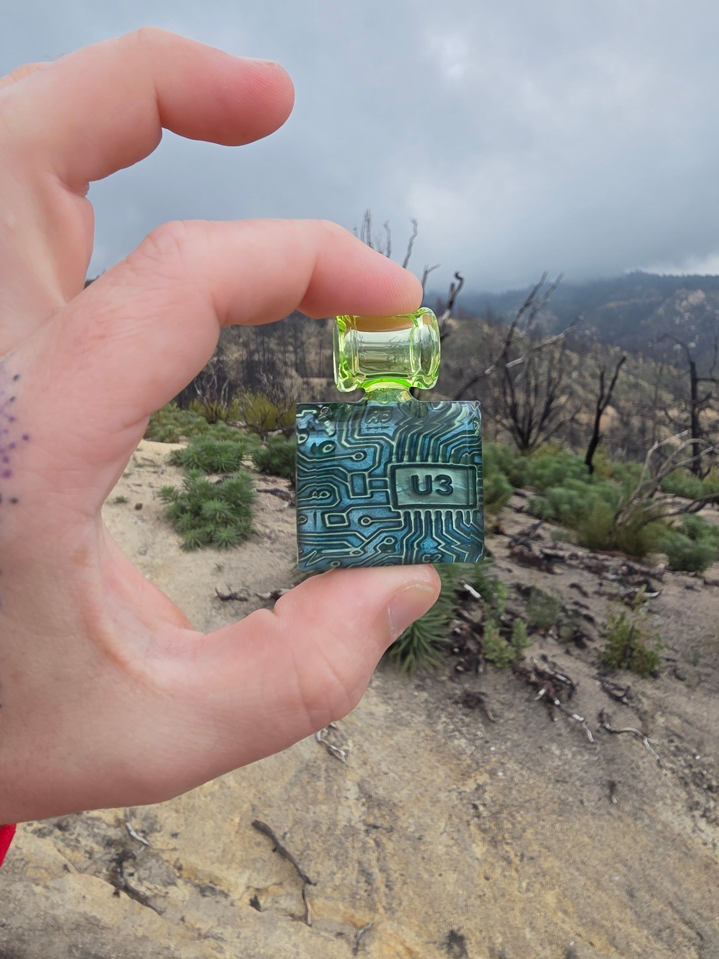 U3 Chip Pendants - Neptunium Edition