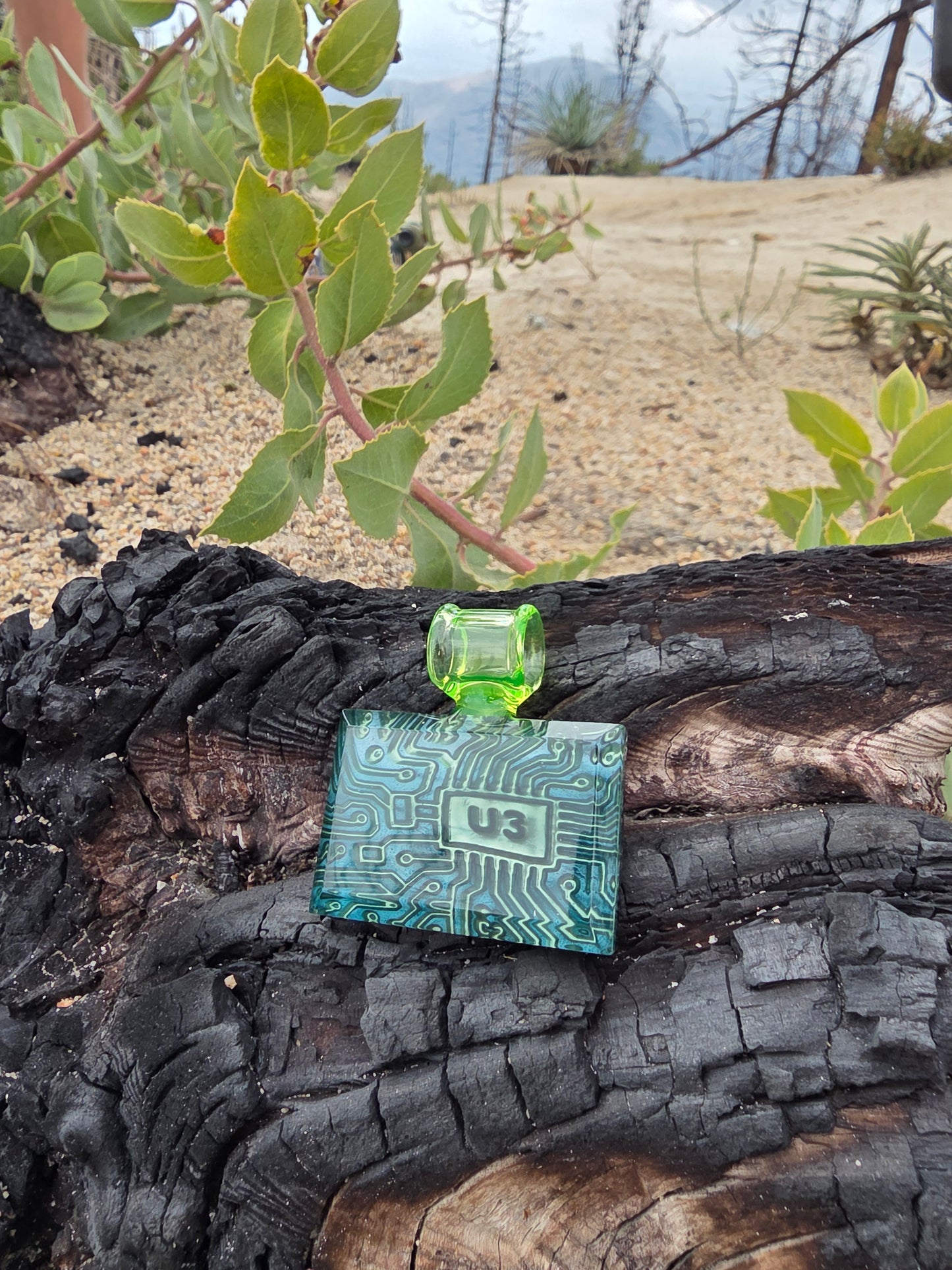 U3 Chip Pendants - Neptunium Edition